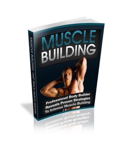 Muscle Building