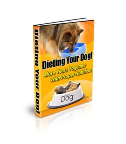 Dieting your Dog